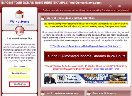 Get your own money-making website setup in 24 hours!